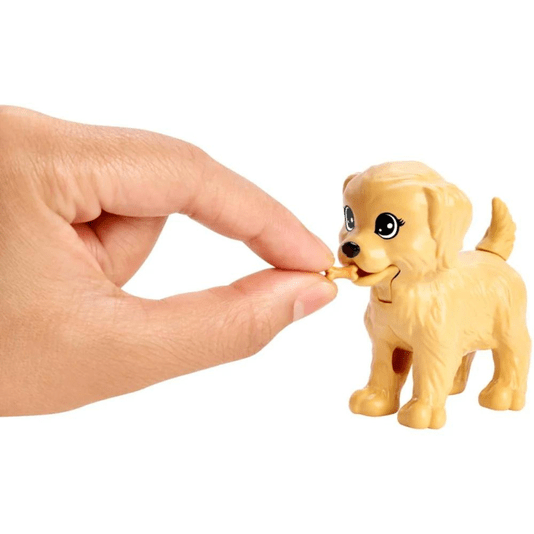 Boneca Barbie Treinadora de Cachorrinhos Com Acessórios Mattel