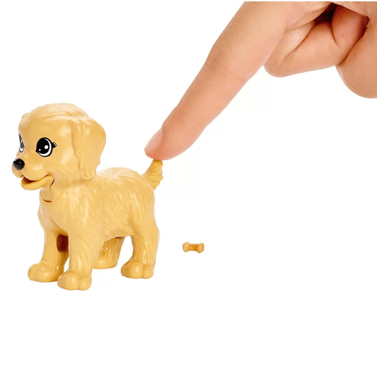 Boneca Barbie Treinadora de Cachorrinhos Com Acessórios Mattel