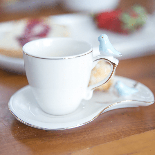 Jogo 6 Xícaras De Café Com Pires Porcelana Birds Plate Colorido 90ml