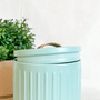 Conjunto Latas Porta Mantimentos Metal E Couro Verde 3 peças