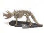Decoração Esqueleto de Dinossauro de Resina